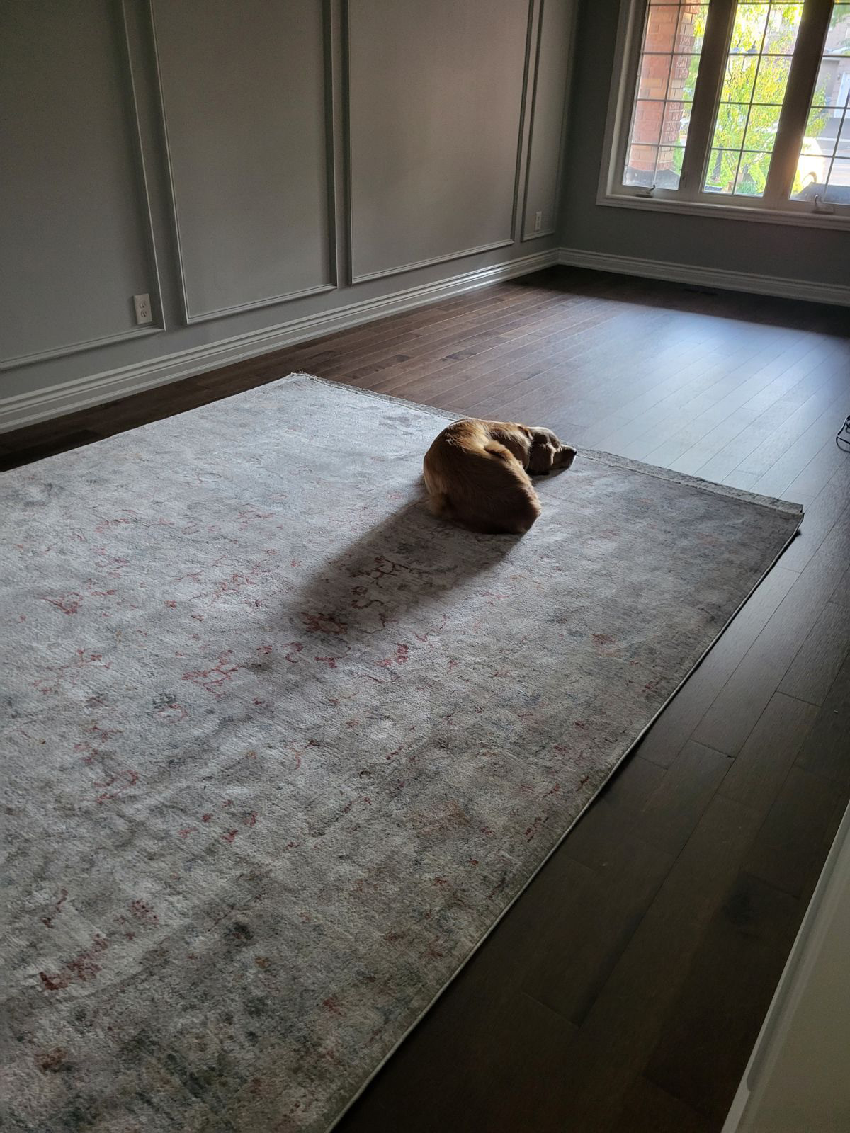 interior-decorating-toronto-dining-room